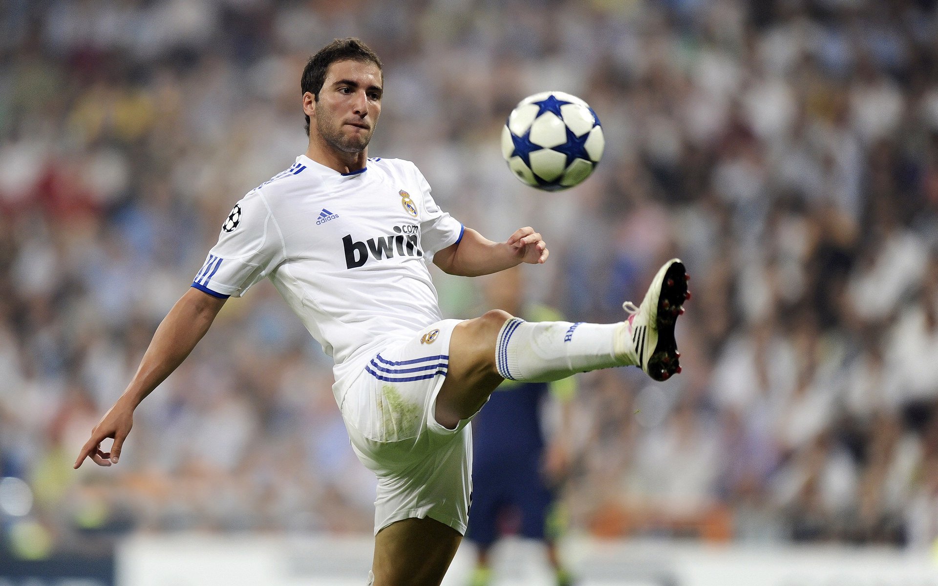 绿茵场上王者之争，欧冠赛场豪门对决，欧冠 豪门